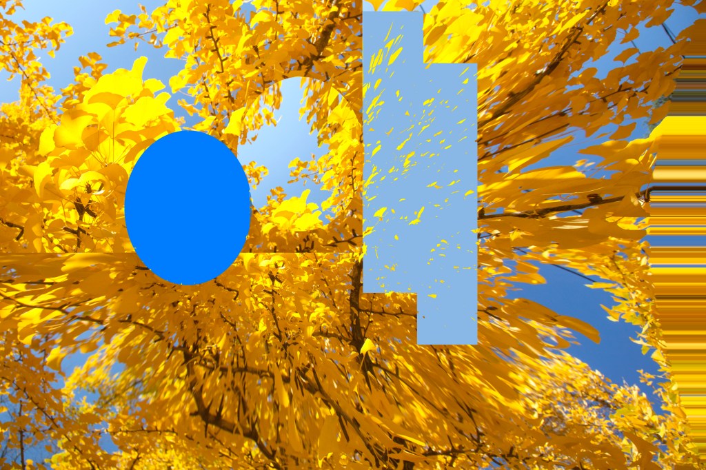 Q&A with Laura&nbsp;Noel